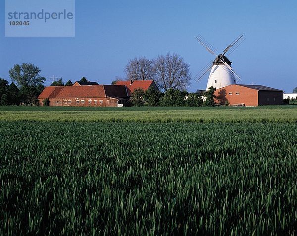 Bauernhof und traditionellen Windmühle auf ländliche Landschaft  Nordrhein-Westfalen  Deutschland