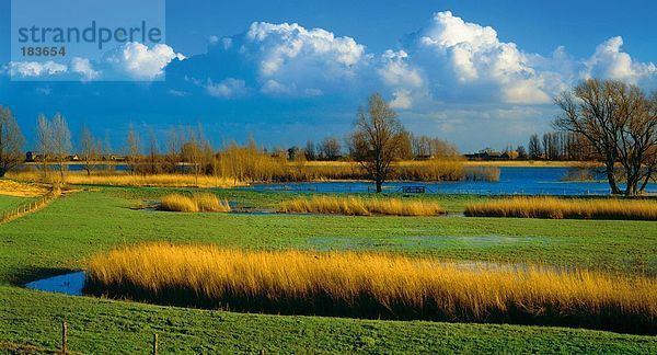 Fluss in Feld