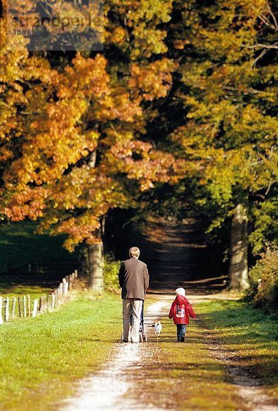 Rückansicht des Mannes zu Fuß mit seinem Enkel im park
