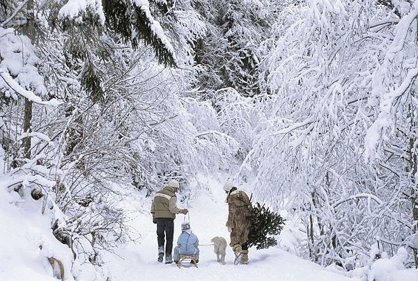 Familienwandern im Schnee  Rückansicht