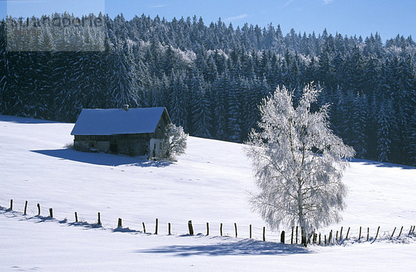 Deutschland  Bayerischer Wald  bei Breitenberg