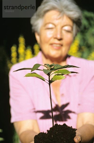 Senior Frau Pflanzanlage