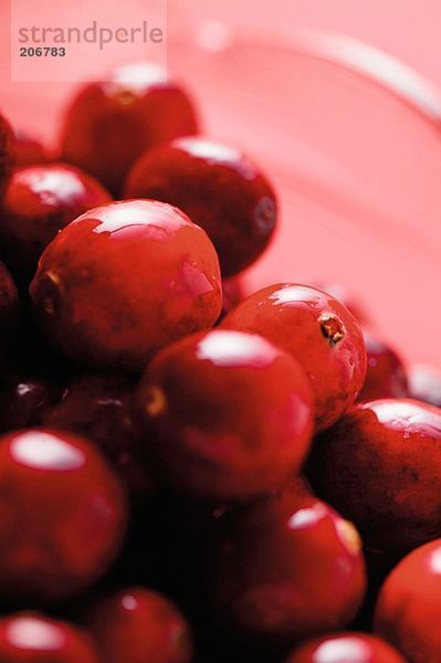Cranberries im Glaskrug (Detail)