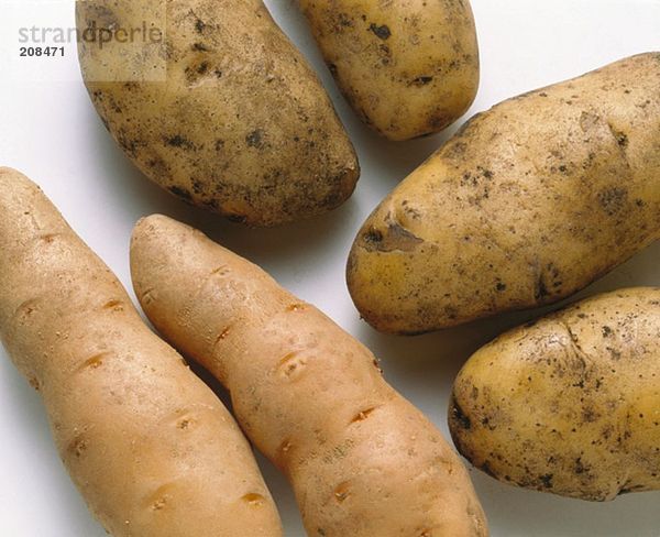 Verschiedene Kartoffelsorten
