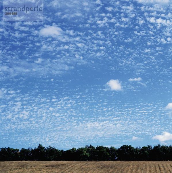Wolken über einem Feld