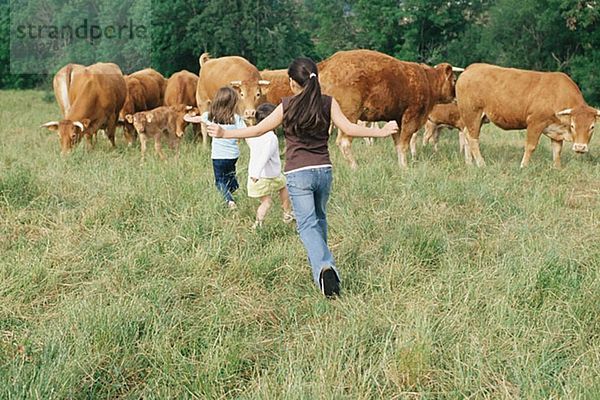 Mädchen  die auf der Kuhherde laufen