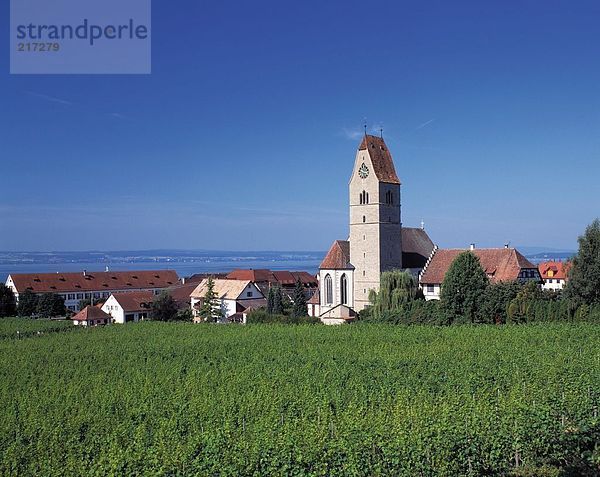 Kathedrale in Dorf gegen blauen Himmel  Bodensee  Baden-Württemberg  Deutschland