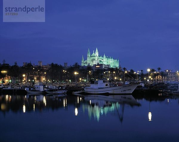 hoch oben beleuchtet Boot Hintergrund Fluss Kathedrale Balearen Balearische Inseln Spanien