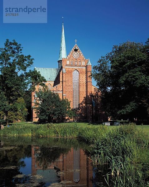 Sumpf vor der Kirche  Bad Doberan  Mecklenburg-Vorpommern  Deutschland