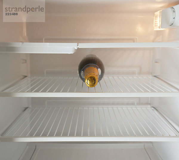 Champagnerflasche im Kühlschrank