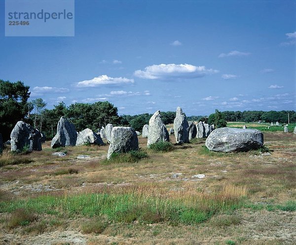 Megalith Felsen auf Landschaft  Carnac  Bretagne  Frankreich