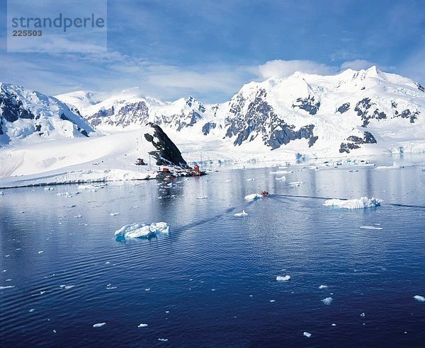 Schneeflocken schwimmt auf Wasser  Paradise Bay  Antarctica