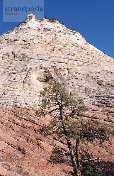 Untersicht of Rock-Formation  Mesa  Zion National Park  Utah  Usa