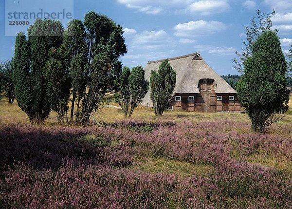 Scheune in Feld Lunenburg Heath  Niedersachsen  Deutschland