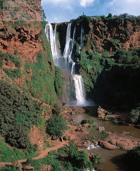 Wasserfall im Wald  Ouzoud Falls  Azilal  Morocco