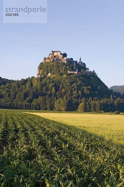 Ernte mit Burg auf Hügel im Hintergrund  Burg Hochosterwitz  Kärnten  Österreich