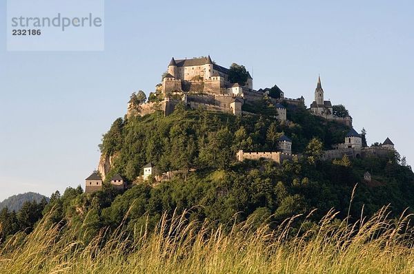 Schilf Feld mit Burg auf Hügel im Hintergrund  Burg Hochosterwitz  Kärnten  Österreich