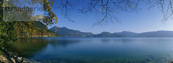 Walchensee  Oberbayern  See im Herbst