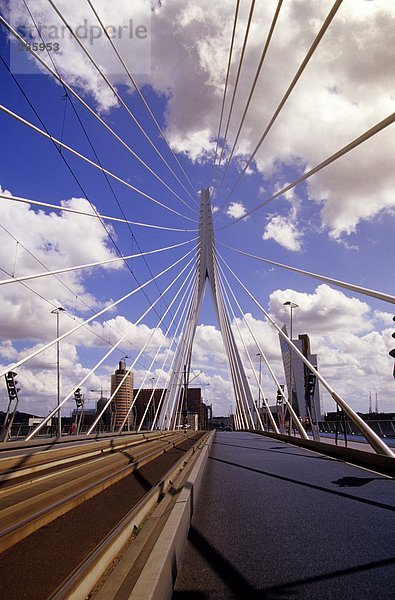 Niederlande  Rotterdam  Erasmusbrücke  Tiefblick
