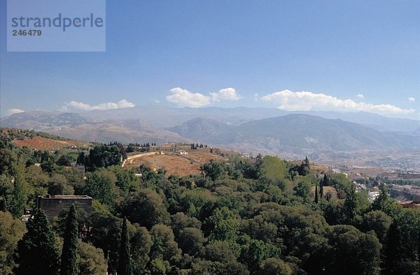 Bäume mit Gebirge im Hintergrund  Granada  Andalusien  Spanien