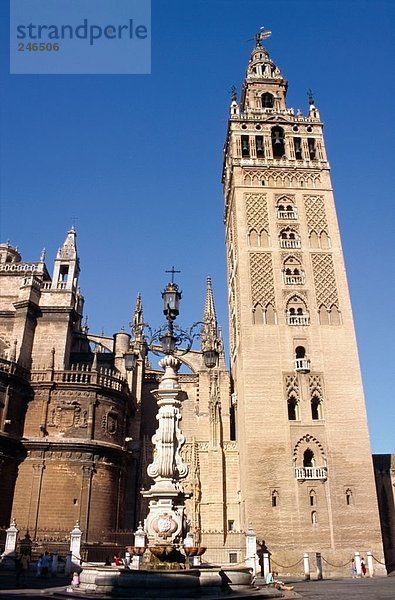 Untersicht der Glockenturm der Dom  Sevilla  Sevilla  Andalusien  Spanien