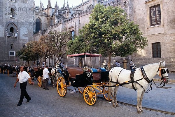 Pferd gezogen Beförderung an Dom  Sevilla  Andalusien  Spanien