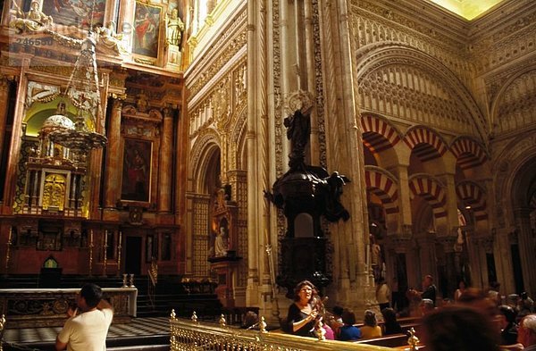 Gruppe von Personen in der Kathedrale  Mezquita-Kathedrale  Cordoba  Andalusien  Spanien