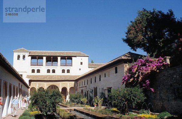 Bäumen im Garten des Palace  Alhambra  Granada  Andalusien  Spanien