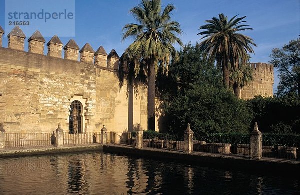 Palmen auf Schloss  Alcázar de Los Reyes Cristianos  Cordoba  Andalusien  Spanien