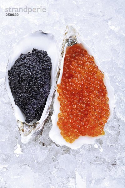 Kaviar auf Eis  erhöhte Aussicht
