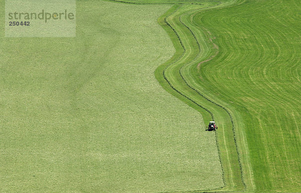 Traktor auf der Wiese  erhöhte Ansicht