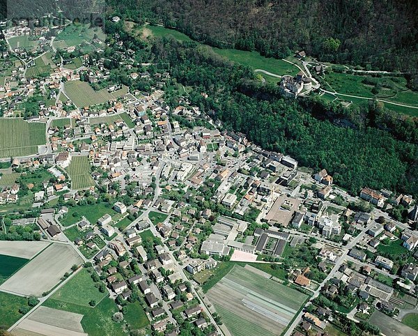 Vaduz Hauptstadt hinter Palast Schloß Schlösser Erhöhte Ansicht Aufsicht Wald Holz Draufsicht
