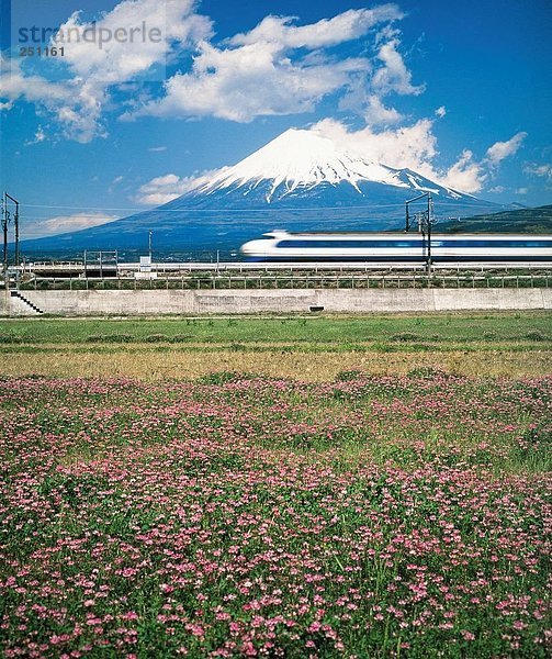 10046561  Blume Wiese  Fujijama  Fujisan  Japan  Asien  Schnee  schnelles  verwischt  Wolken  Wetter