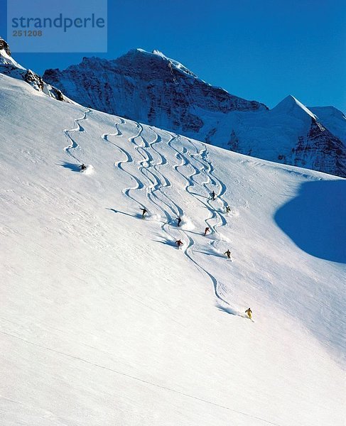 Europa Sport Skisport Ski Spur Berner Oberland Kanton Bern Hang Schweiz Rührbesen Wintersport