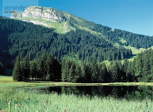 Landschaftlich schön landschaftlich reizvoll Europa See Meer Alpen Schweiz
