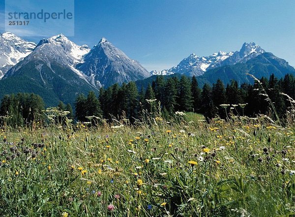 Landschaftlich schön landschaftlich reizvoll Europa Berg Himmel Alpen Kanton Graubünden Schweiz