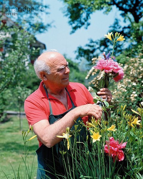 10145129  arbeiten Kleidung  Blumen  Garten  Amateur-Gärtner  Mann  Senioren
