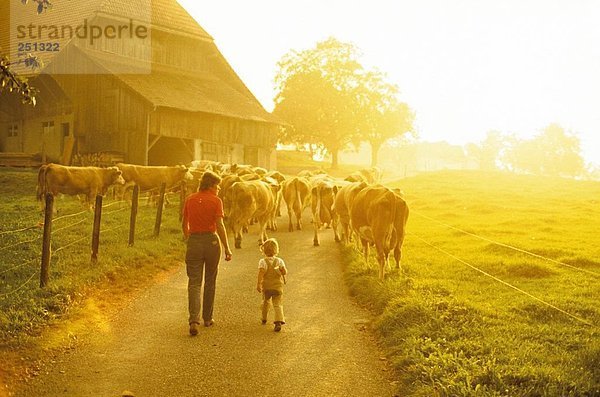 10150833  Bauer  Bauer  Landwirte  Landwirtschaft  Stimmung  Bauernhof  Gegenlicht  Kind  Kühe  Tiere  Tiere