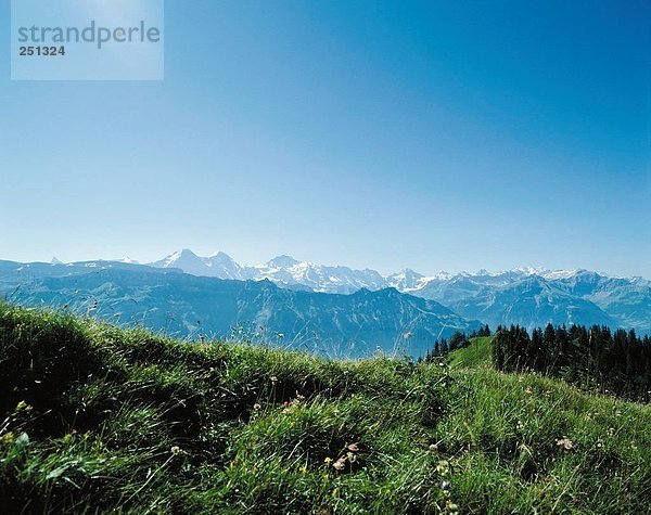 Landschaftlich schön landschaftlich reizvoll Berg Alpen Eiger Berner Oberland Kanton Bern Mönch Schweiz