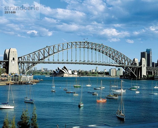 10214528  Australien  Hafenbecken  Harbour Bridge  Oper  Segelschiffe  Skyline  Sydney