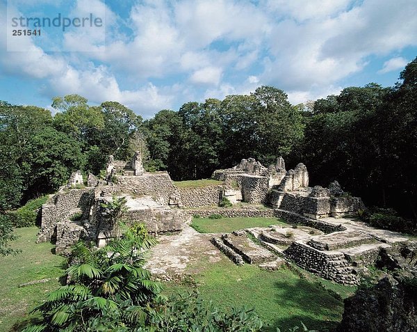 10256494  Südamerika  Guatemala  Kultur  Maya-Kultur  Ruinen  Tempel  Treppen  Uaxactún  Vegetation