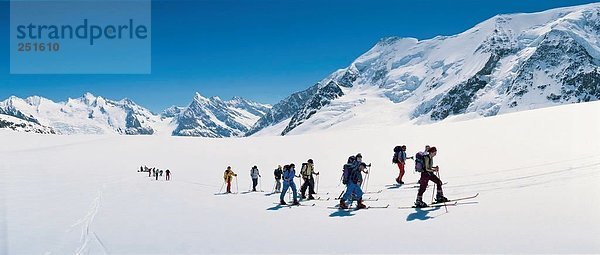 10292982  alpine  Alpen  Berge  Sport  Wintersport und Aletschgletscher  Gletscher  Schweiz  Europa  Klettern bis  Gruppe  Ski