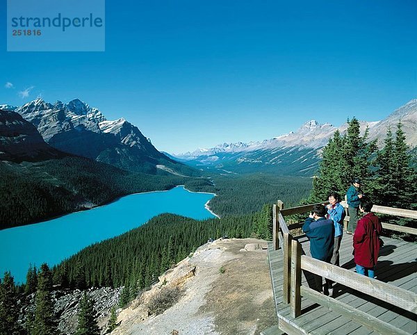 10434832  Asian  asiatisch  Alberta  Banff  Nationalpark  Gebirge  Kanada  Nordamerika  Landschaft  See  Pevto See  Plattform