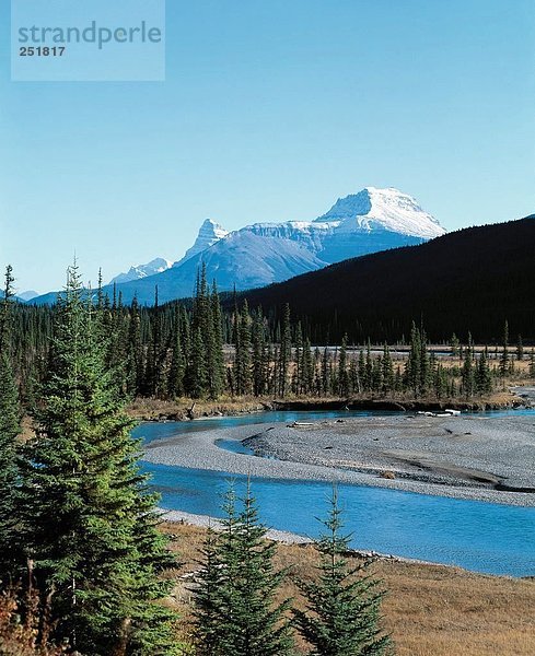 10434836  Alberta  der Athabasca River  Kanada  Nordamerika  River  Fluss  Jasper  Nationalpark  Landschaft