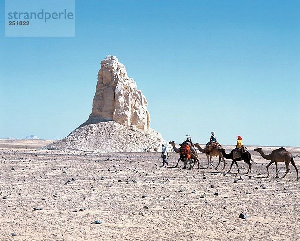 10437899  Ägypten  Nordafrika  Fels  Klippe  Klippe-Bildung  Kamel-trekking  Kamel  Wohnwagen  trekking  weiße  Wüste
