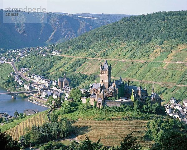 10520617  Cochem  Deutschland  Europa  Moselle  Moselle Bereich  Burg  Tal  Überblick  Weinbau