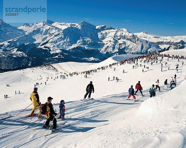 Europa Skifahrer beobachten Kanton Bern Schweiz