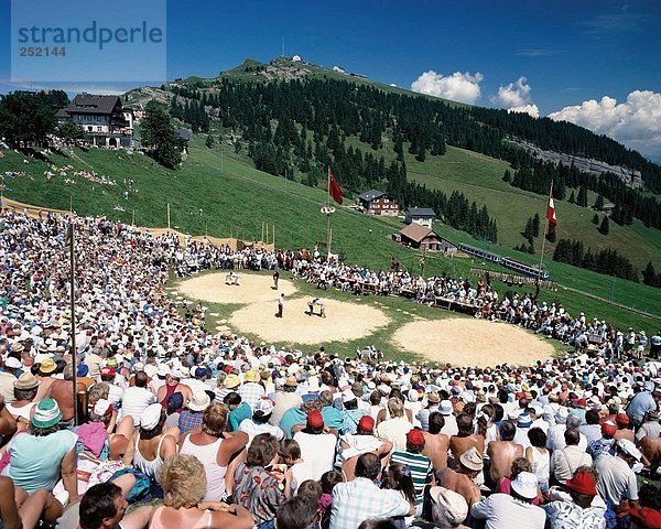 10015980  Tradition  Folklore  Schlachtfelder  Rigi  Schweiz  Europa  Schweizer Ringen  Schaukeln  Sport  Überblick
