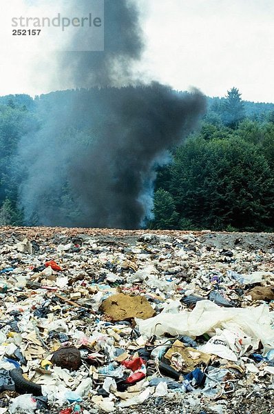 10024121  air  Umweltverschmutzung  Müll  Müll  Abfälle  Müll  brennen  Dump  Umwelt  Wald