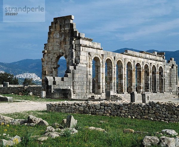 10089817  Basilika  Berge  Kultur  Marokko  Nordafrika  Roman  Stadt in Ruinen  Volubilis